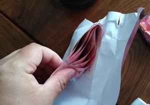 面對誘惑不動(dòng)搖  立場(chǎng)堅定顯品質(zhì) ——宗保金山衛五違巡查與金橋市