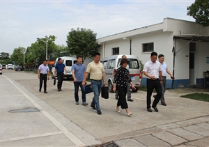 浦東新區退役軍人事務(wù)局 莊沈芳副局長(cháng)來(lái)公司考察調研