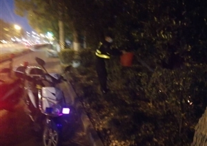 綠化帶失火蔓延  保安施救化險情 ——宗保公司駐惠南鎮園區派出所