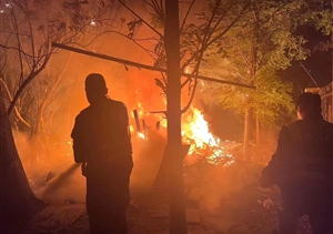 巡邏途中遇火情 報警撲救控火勢—泥城輔警項目隊員協(xié)力撲滅林中野